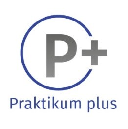 P-plus-Wort-Bildmarke-mittel.jpg